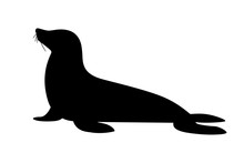 Black Silhouette Cute Seal Cartoon Animal Design Flat Vector Illustration Isolated On White Background