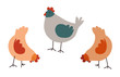 Farm chickens eating food, hen and rooster vector