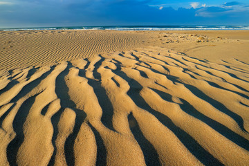 Canvas Print - Scenic beach early morning with wind-blown patterns in the sand, South Africa.