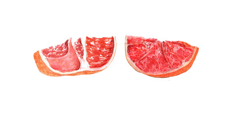 watercolor set red grapefruit slice