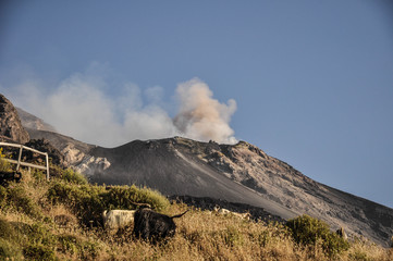 Wall Mural - by night in the fantastic volcano Stromboli, Stromboli is considered one of the most active volcanoes in the world