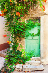 Green wooden door and green decorative tree with red flowers. Old architecture in Valensole, Provence, France.