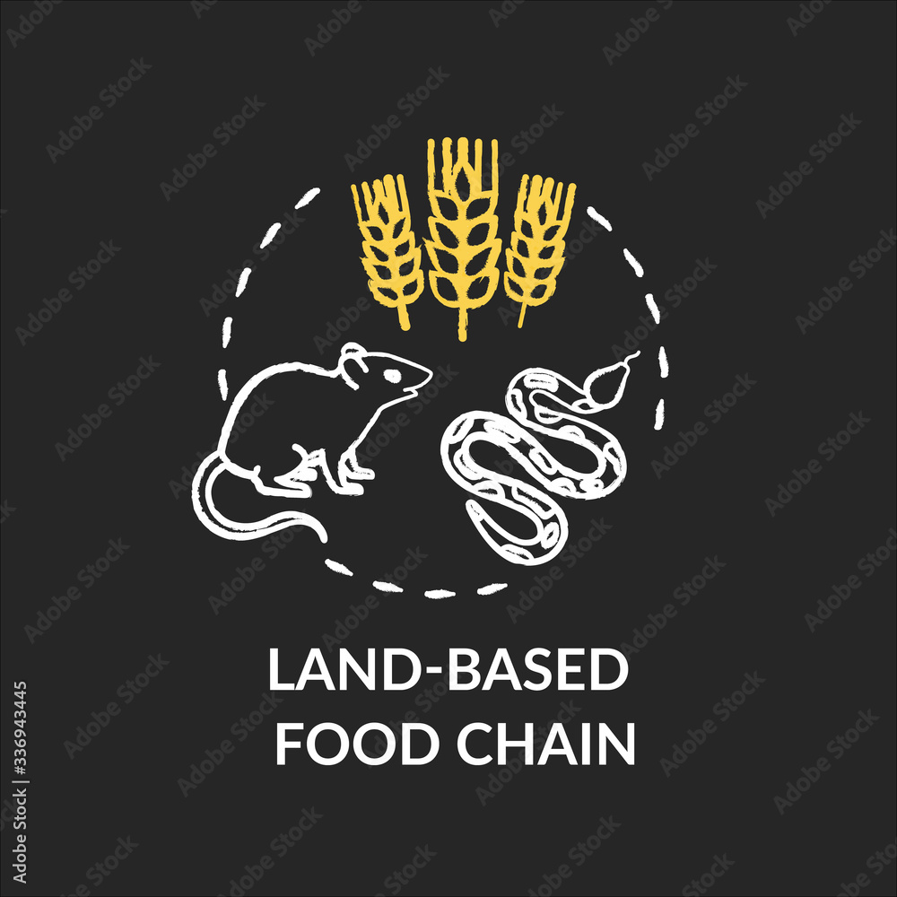 Land based food chain chalk RGB color concept icon. Energy producer and ...