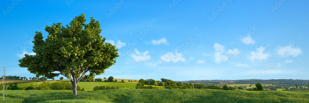 Natur Landschaft mit Baum und einem blauen Himmel - obrazy, fototapety, plakaty 