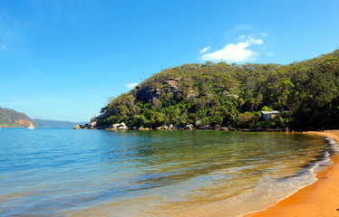 Wall Mural - View of the scenic landscape of the Palm beach in Sydney, Australia