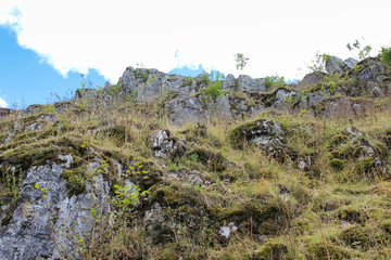 green grass and bushes grow on the side of a high mountain, among rocks and sand in a dry climate