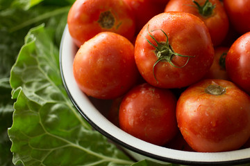 Harvested red tomatoes picked from a home garden