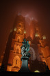 Cathedral of St. John the Baptist - Archdiocese of Wrocław. Night photograph taken in the fog.