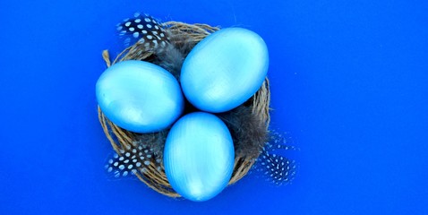 Wall Mural - Blue easter eggs in a nest with feathers on a blue background. Copy space