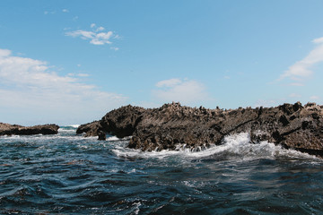 Blue ocean with waves and rocks in Australia