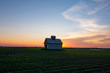 Wall Mural - Midwest barn at sunset