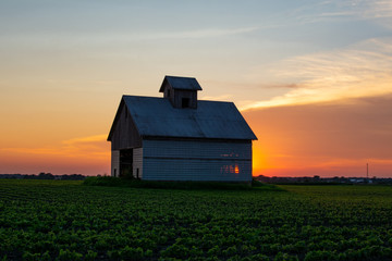 Wall Mural - Midwest barn at sunset