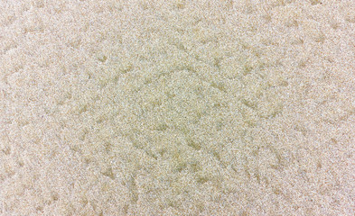 Wall Mural - rippled texture of fine sea sand