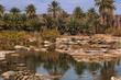 Wüstenoase in Marokko