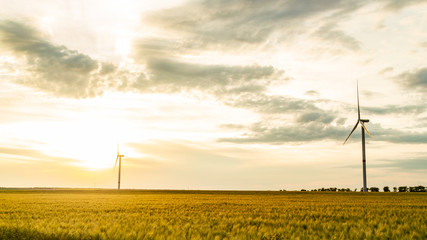 wind generator in grass field at sunset