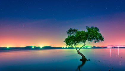 Wall Mural - landscape with milky way galaxy. night sky with stars and silhouette mangrove tree in sea. long expo