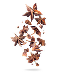 Wall Mural - Crushed dry anise in the air isolated on white background