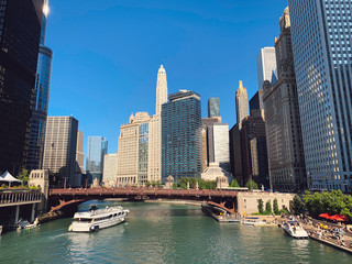 Wall Mural - Chicago cityscape and Chicago River during summer