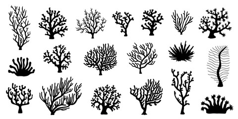 various coral silhouette