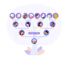 Family Tree Of A Single Man Showing His Forefathers From Great Grandparents To Grandparents To Parents, Vector Illustration