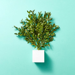 Twig tree and cube on turquoise background