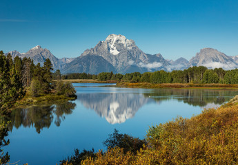 Wall Mural - Mountain reflecting in water with a pelican swimming across reflection
