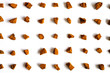 © Ksenia - chaga mushroom. broken pieces of birch tree chaga mushroom for brewing natural medicinal antitumor, anti-inflammatory and antiviral detox tea, isolation on white background. regular pattern