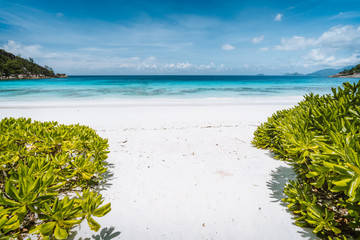 Petite Anse sandy beach with blue ocean lagoon located at Mahe Island, Seychelles. Exotic tropic holiday vacation