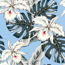 Tropical White Orchid Flowers, Monstera, Banana Palm Leaves, Blue Background. Vector Seamless Pattern. Jungle Foliage Illustration. Exotic Plants. Summer Beach Floral Design. Paradise Nature