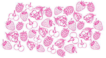 Vector hand-drawn fruits icons set berry fruits