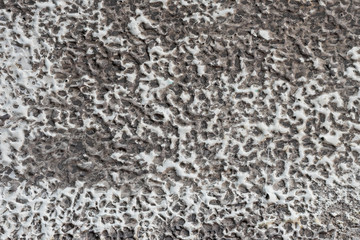 Wall Mural - Textured concrete wall