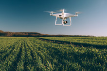 Drone Quad Copter On Green Corn Field