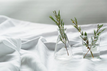 Wall Mural - glass beaker and flask with herbal plant on white fabric with window natural light for cosmetic scie