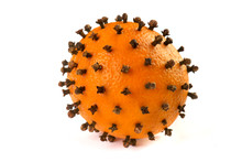 Orange With Cloves On A White Background