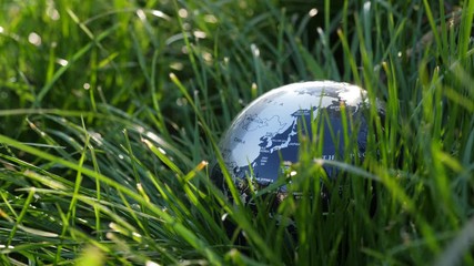 Wall Mural - Grassy field with a spinning Earth globe in the sunlight.