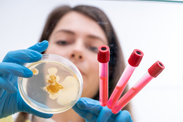 Poster - Young female laboratory assistant in a science lab with petri dishes microflora analysis