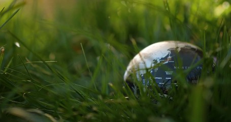 Wall Mural - Close-up of a toy earth globe spinning in grass field during sunset. Slow motion rotating world globe in the enviroment. Sustainability and earth day concept. Meadow swaying gently in the breeze.
