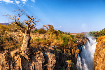 Poster - epupa falls namibia