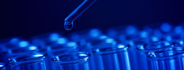 Test tube row. Concept of medical or science laboratory, liquid drop droplet with dropper in blue tone background, close up, micro photography picture.