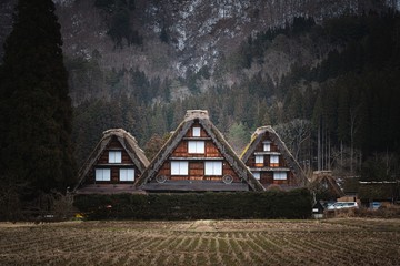 Wall Mural - Beautiful shot of a buildings in Shirakawa Japan