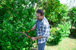 © Nahuel - Mature senior man using shears to trim the hedge in his garden during a spring sunny day