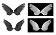 set of wing on white background