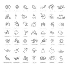 Vector Set Of Natural Ingredients And Oils For Cosmetics In Linear Style