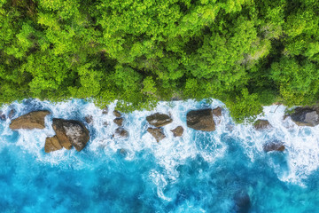 Wall Mural - Coast as a background from top view. Blue water background and forest from top view. Summer seascape from air. Bali island, Indonesia. Travel - image