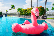 Pink Flamingo Float On Swimming Pool