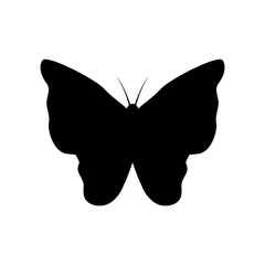 Sticker - Creative design of butterfly icon