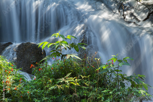 Fotografía The lush Brazilian landscape offers ecotourism options at any time of the year