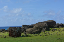 Ruins Of The Largest Toppled Maoi On Rapa Nui, Easter Island