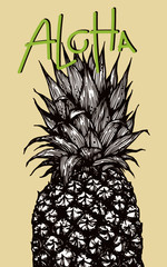 Sticker - illustration of pineapple