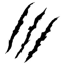 Claw Scratch Marks In Black And White